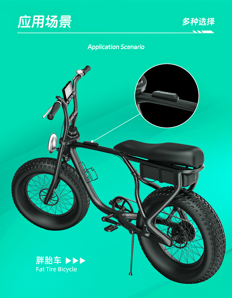 電動(dòng)自行車智能定位器